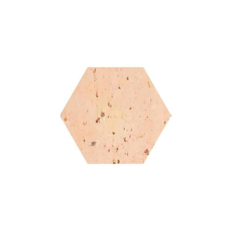 Tomette hexagonale Salernes