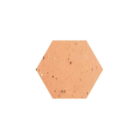 Tomette hexagonale Salernes
