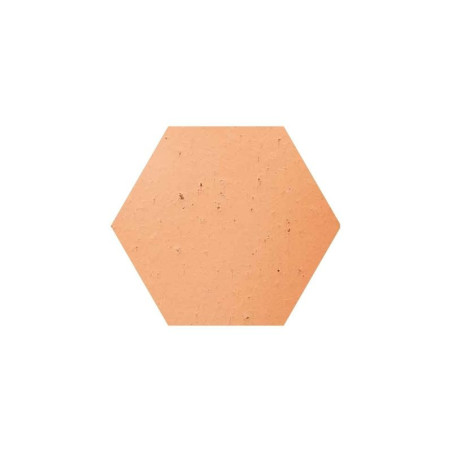 Tomette hexagonale naturelle