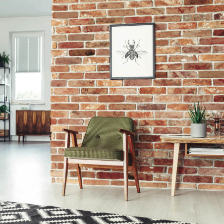 Brique de parement en terre cuite loft