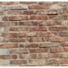Brique de parement en terre cuite loft