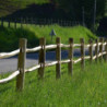 Poteau de Clôture châtaignier Post & rail 2 niveaux dans un champ
