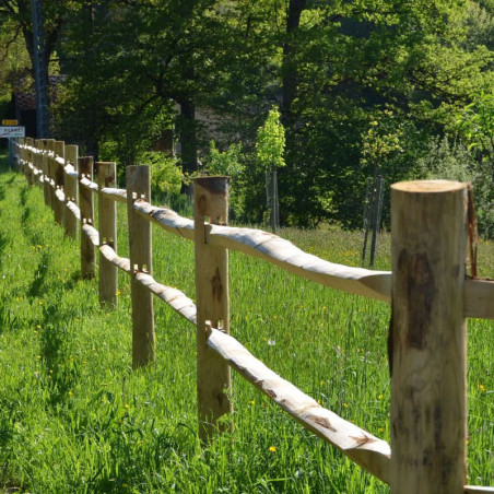 Rail de clôture Post & rail