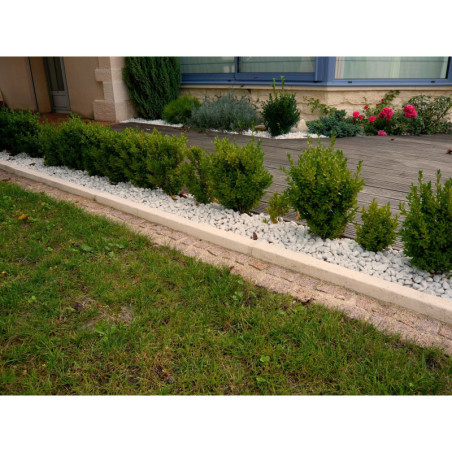 Bordure Chantilly droite