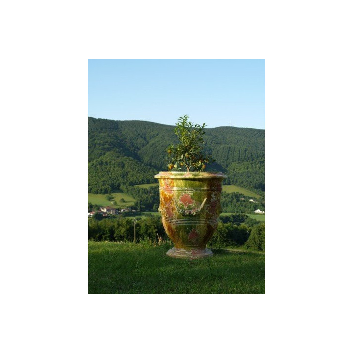 vase guirlande email authentique 2