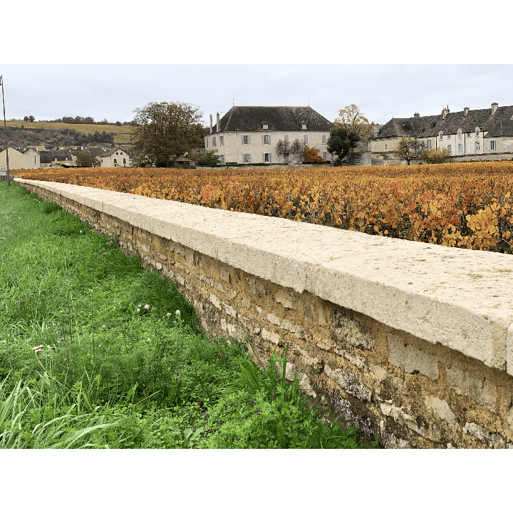 dessus mur rustique vieilli 2