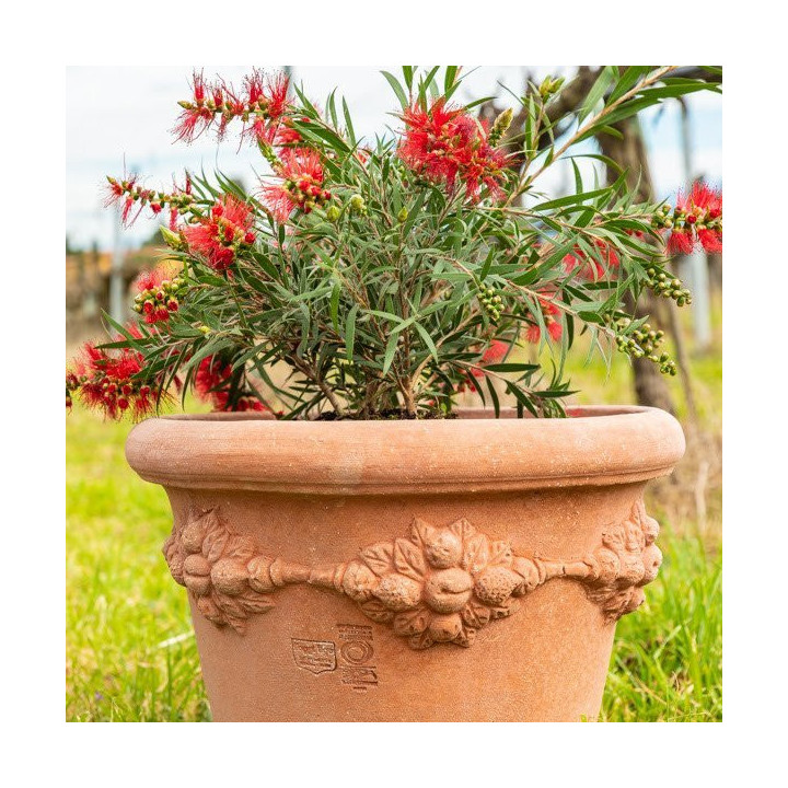 pot guirlande fruitée