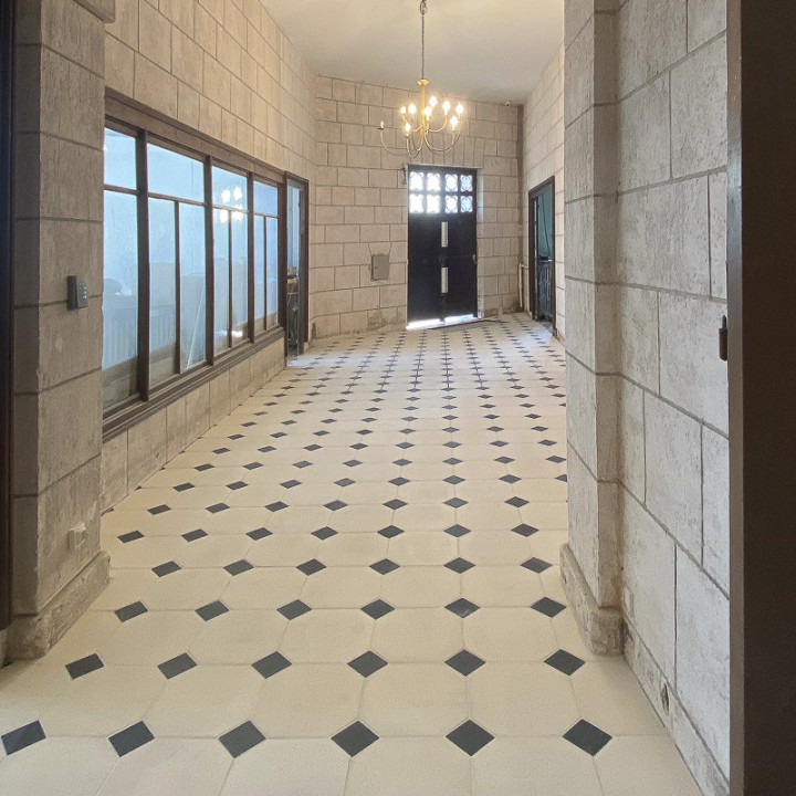 Dallage cabochons poillé couloir intérieur