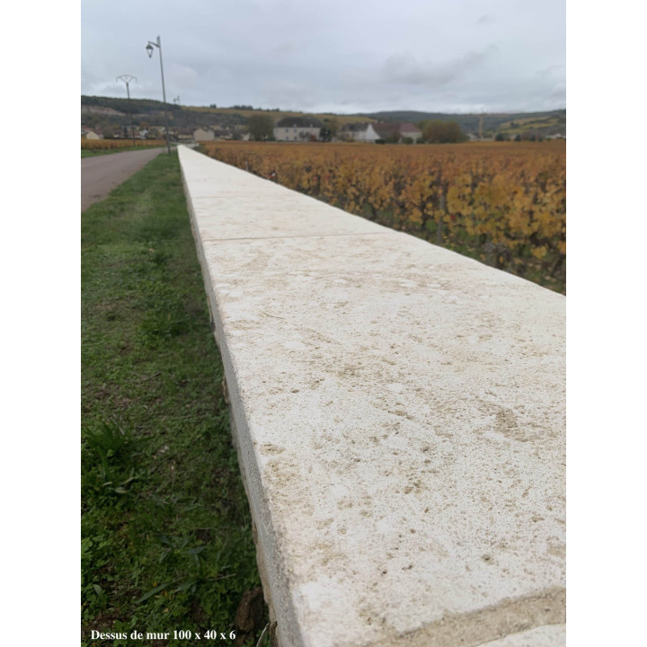 Dessus de mur étrillé vieilli, résistant aux gelées - Ligerio