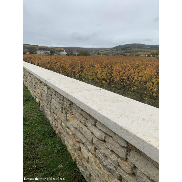 Dessus de mur étrillé vieilli, résistant aux gelées - Ligerio