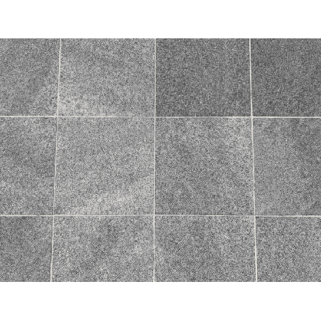 Dallage en Pierre bleue Bouchardée