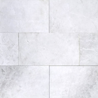 zoom dallage marbre blanc tiger