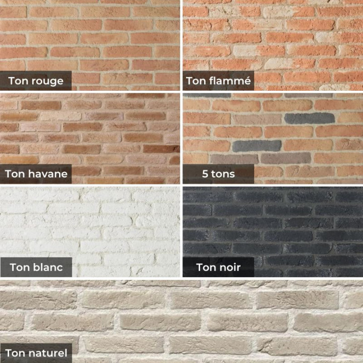 Pierre de parement Brique (Orsol)