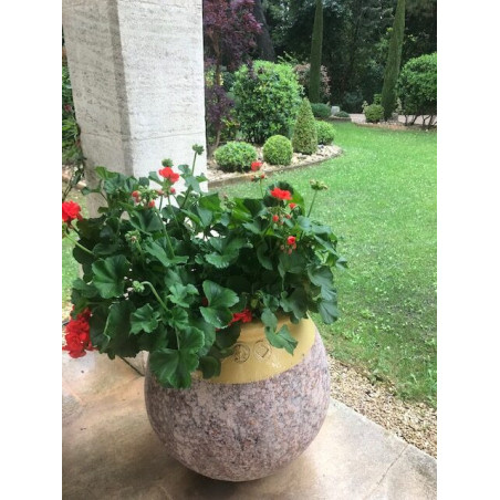 Jarre Méditerranéenne col jaune