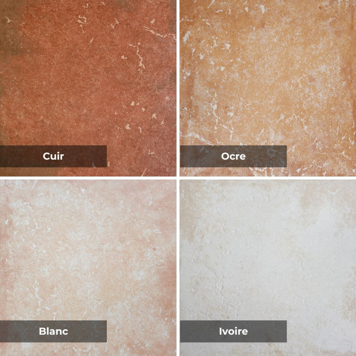 carrelage pont du gard: Variété et qualité française - Ligerio