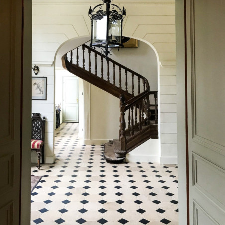 Échantillon de dallage à cabochons en pierre du Nivernais