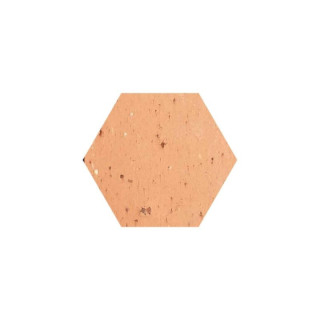 Tomette hexagonale aspect arraché Brenne 16x18x2