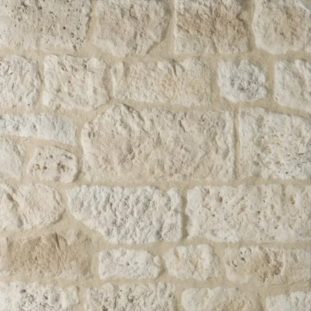 Arc de porte et fenêtre Manoir (Orsol)