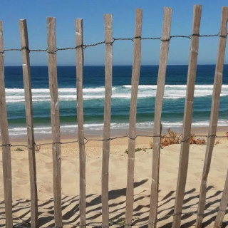 Ganivelles Rectangulaires sur une plage