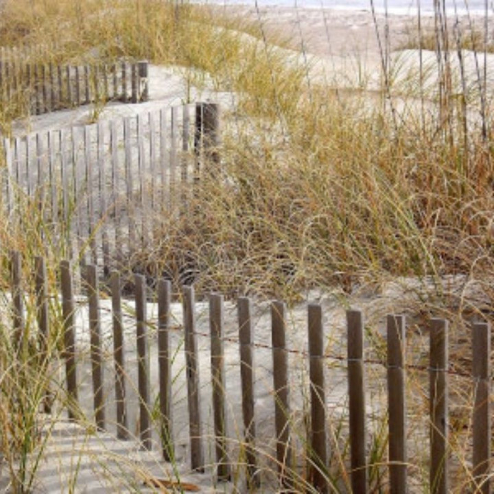 Ganivelles Rectangulaires Ecartement 8 sur une plage