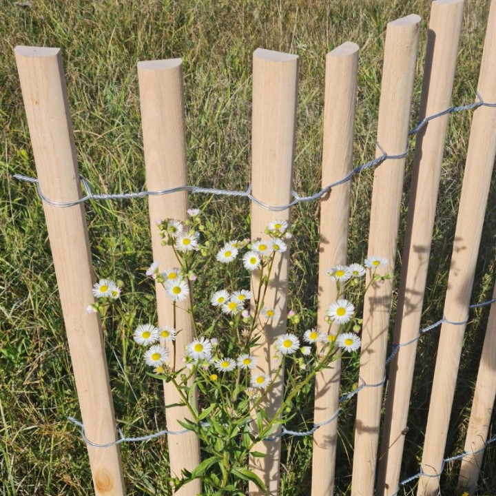 Ganivelles Demi-rond dans un champ