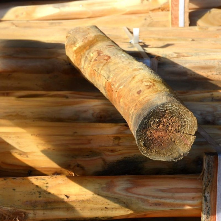 Piquet rond en Châtaignier écorcé