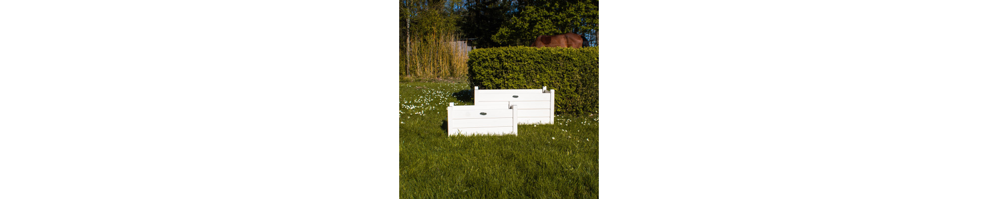 Caisses à oranger en bois
