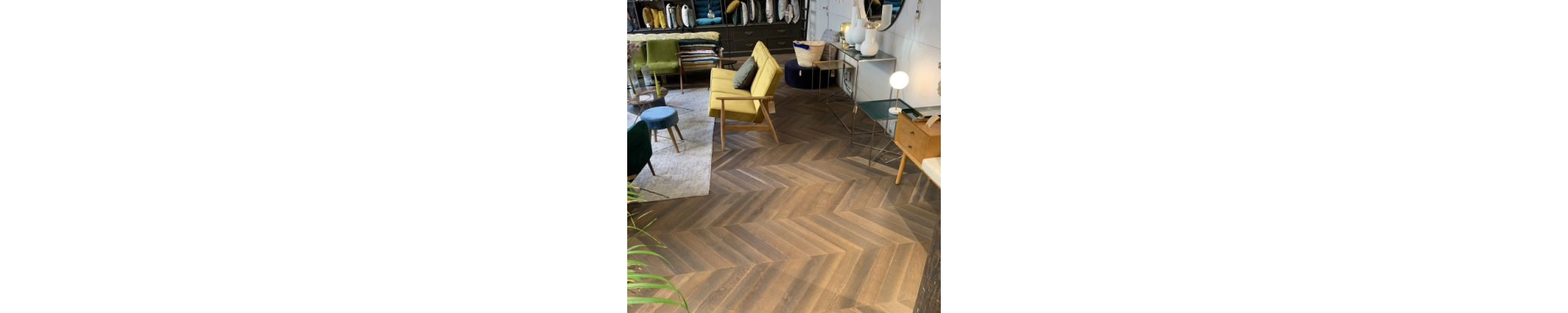 Parquets point de Hongrie massifs