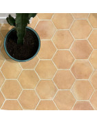 Tomettes hexagonales