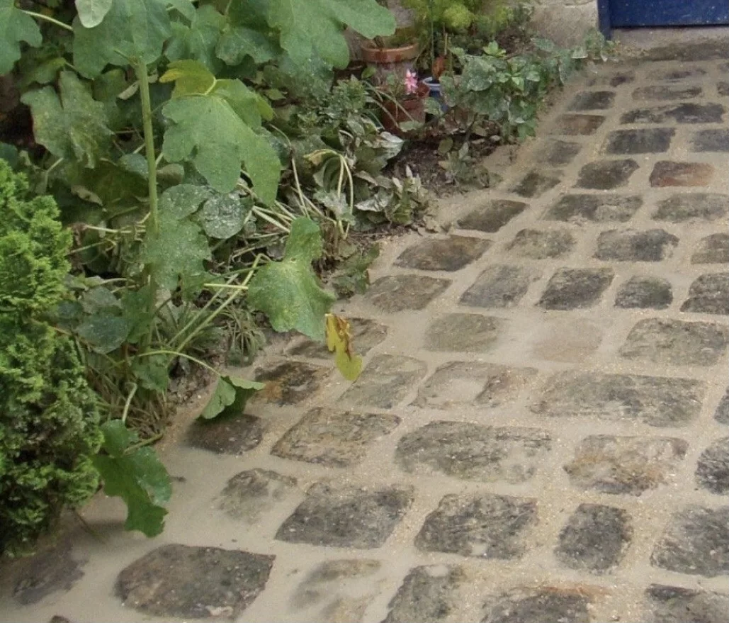 Quel pavé choisir pour son jardin ?