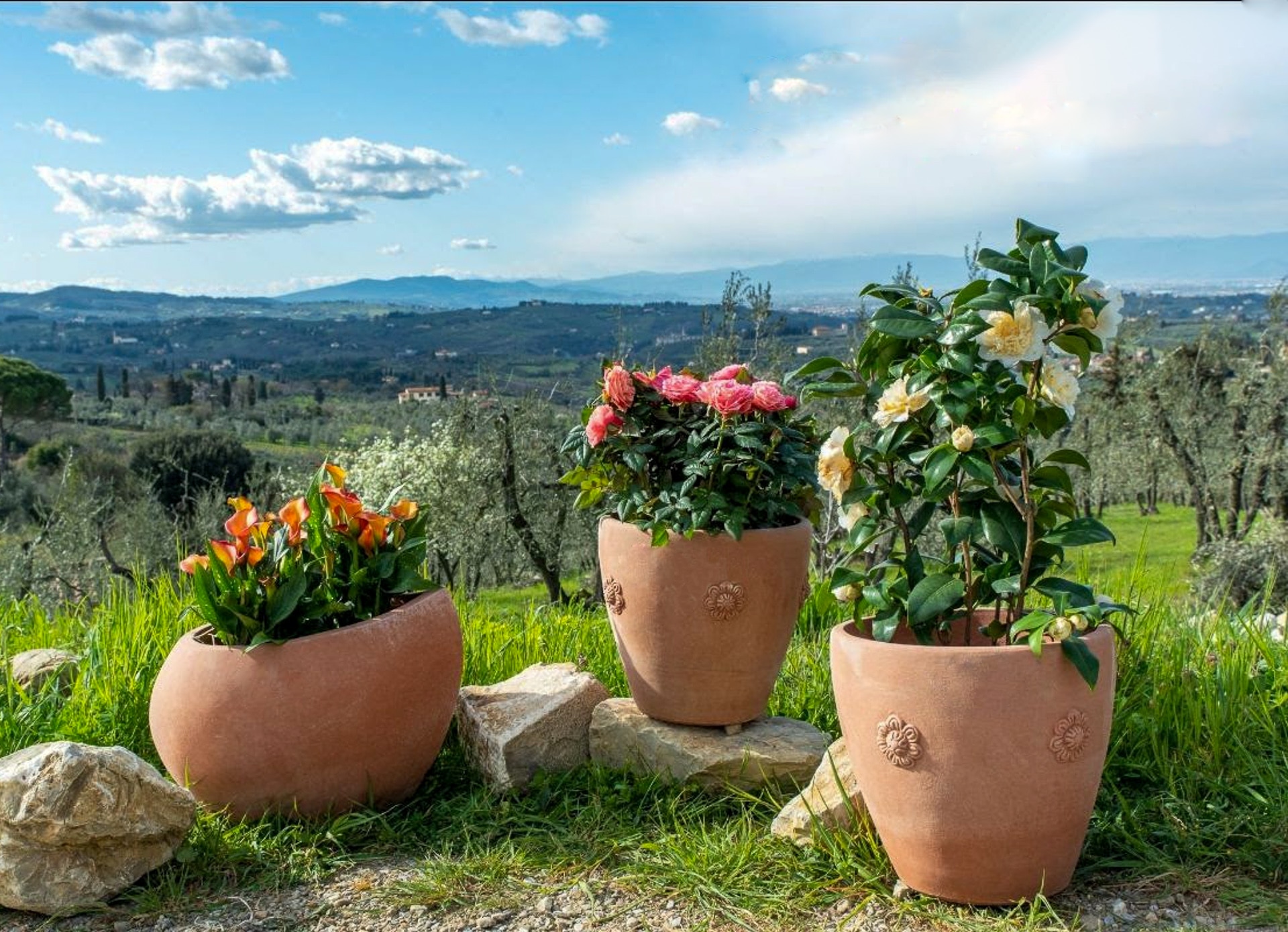 Choisir le pot idéal pour votre plante